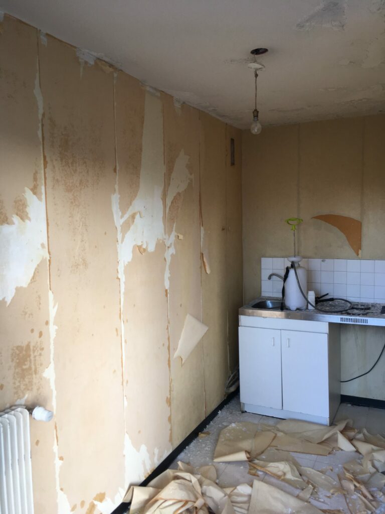 Avant rénovation intérieur LP Renovation